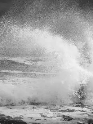Counter-Force Counter-Force: The Windward Spray