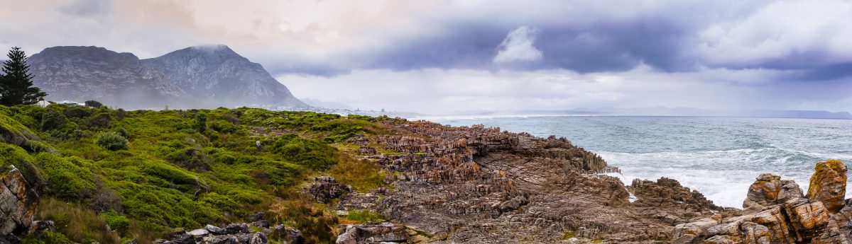 The Ancient Shore The Ancient Shore: A Hermanus Panorama
