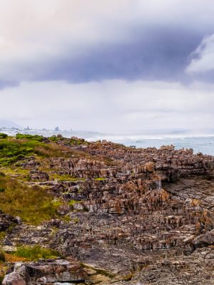 The Ancient Shore: A Hermanus Panorama