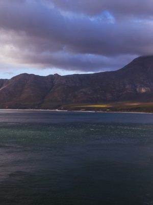 The Gilded Shore